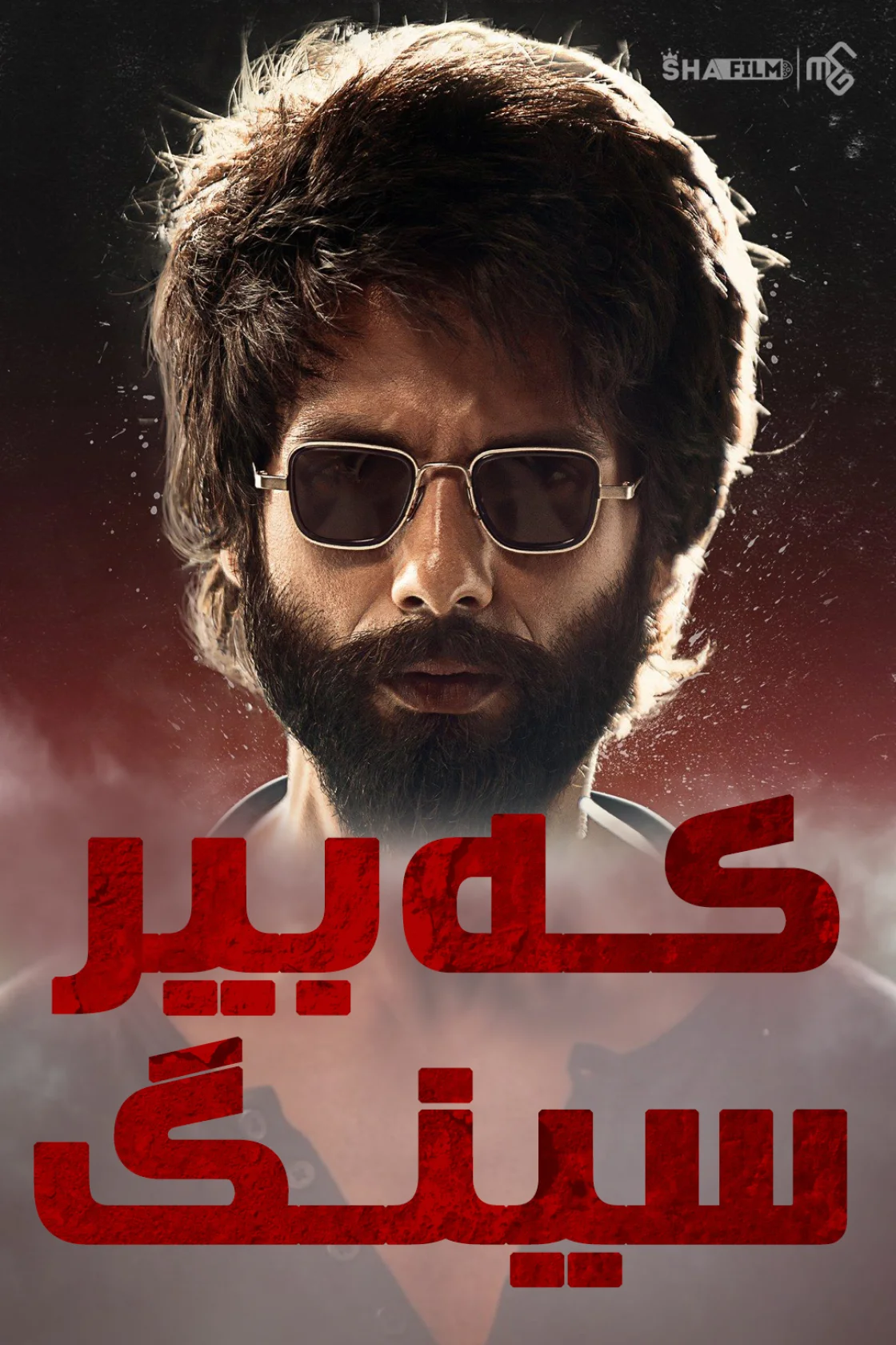 Kabir Singh