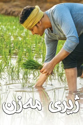 Maharshi