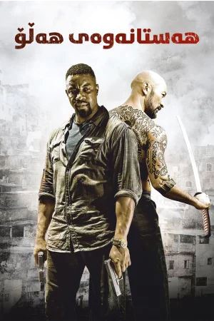Falcon Rising