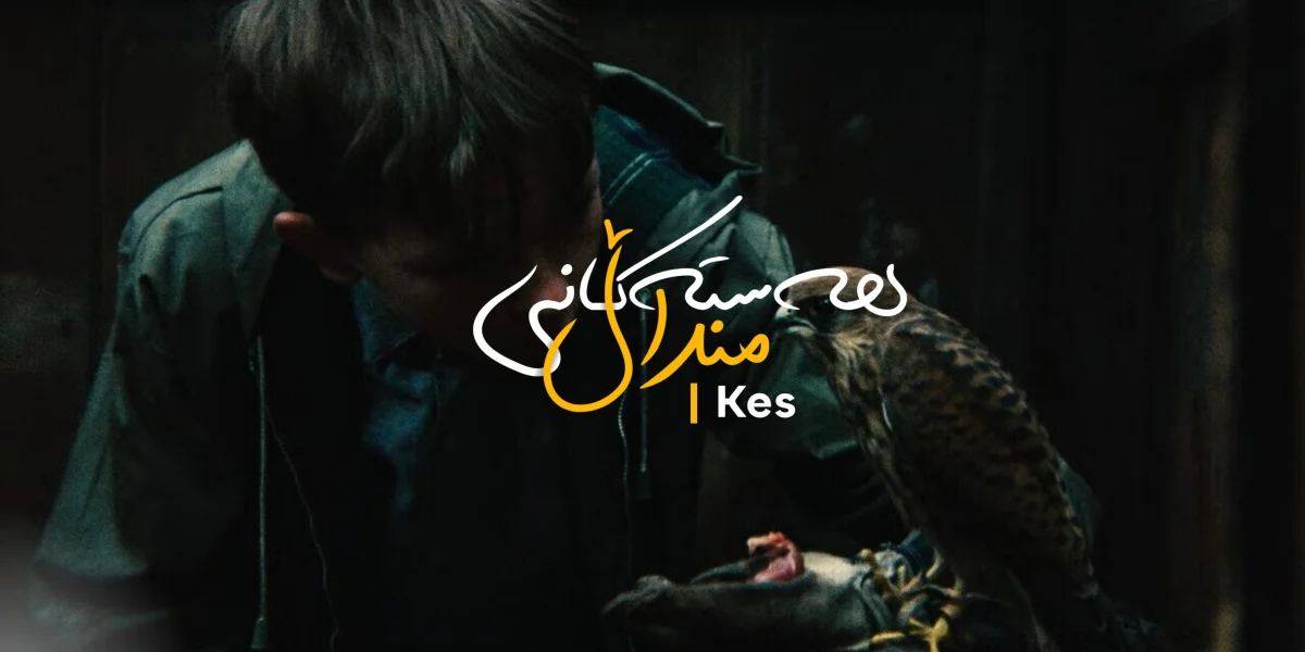 هەستەکانی منداڵ