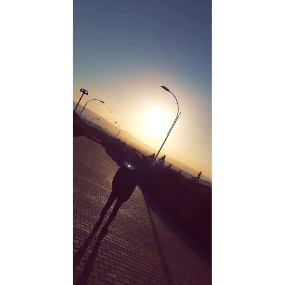 شاد كەنعان